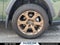 2024 Toyota RAV4 Hybrid Woodland Edition